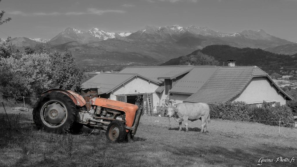 Alpinae machina: Tracteur Massey-Ferguson 35, du début des années 70