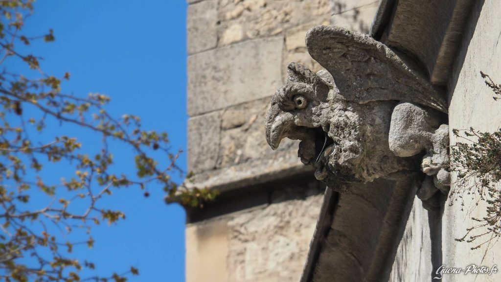 Gargouille de l'église Saint-Pierre, à Pont-Saint-Esprit, dans le Gard