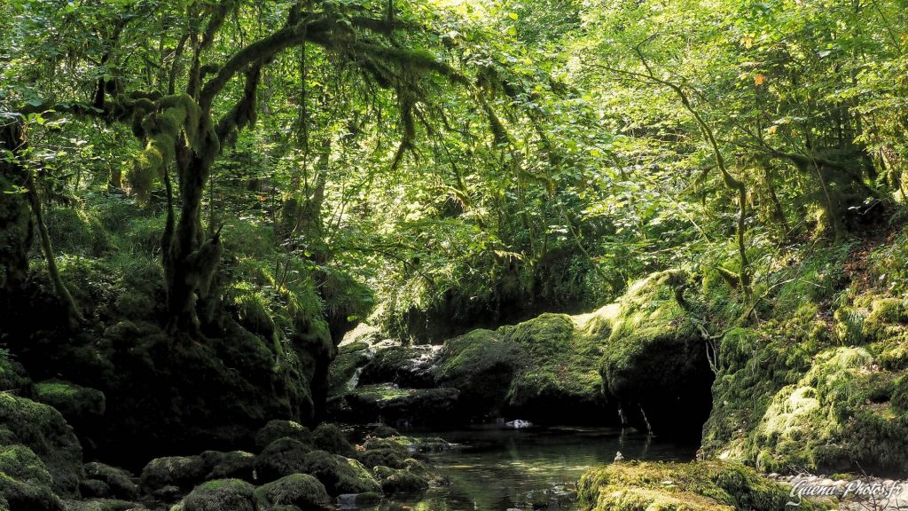 Cirque de Consolation, Massif du Jura, Doubs (25390)